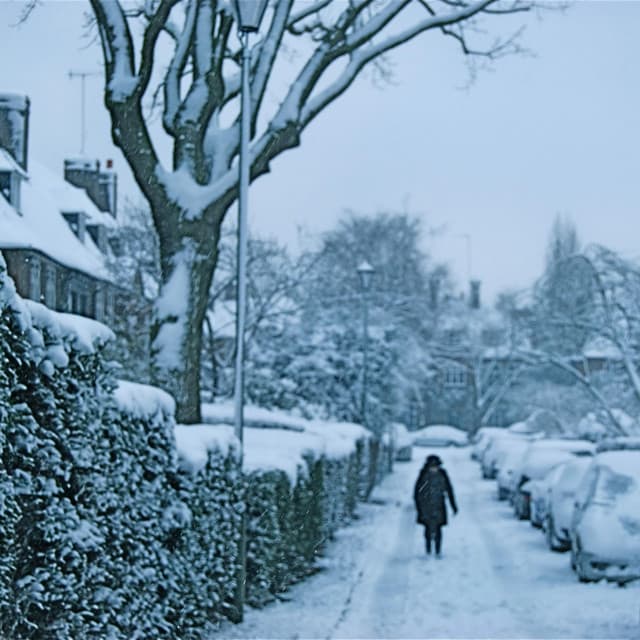 Thief of Snow